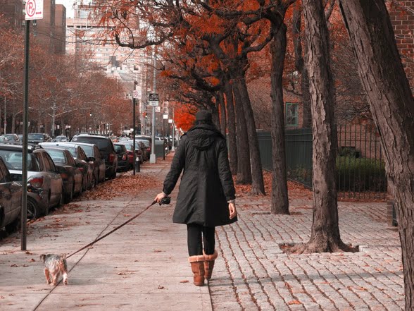 Stuyvesant Town, NYC