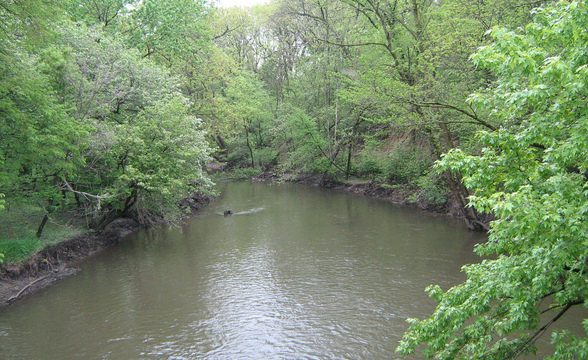 Что такое glen forest