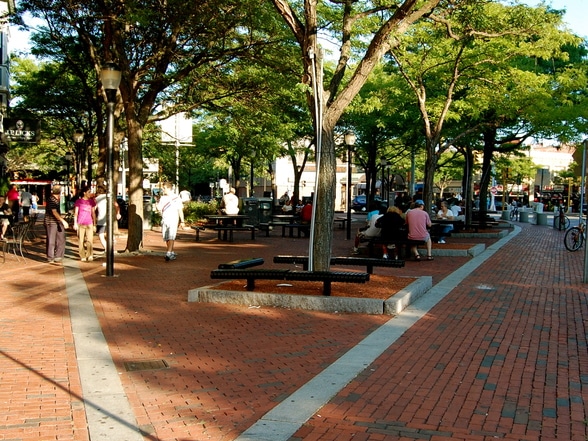 Davis Square