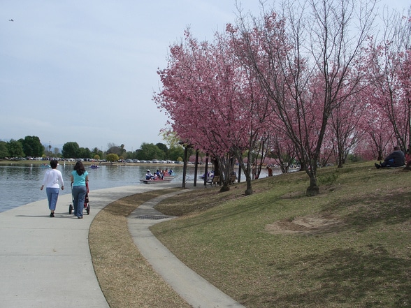 Lake Balboa