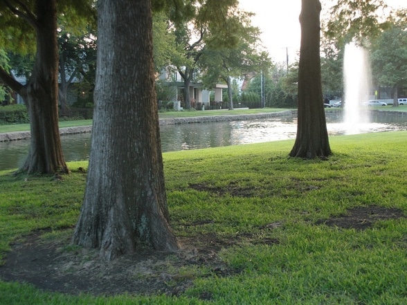 University Park