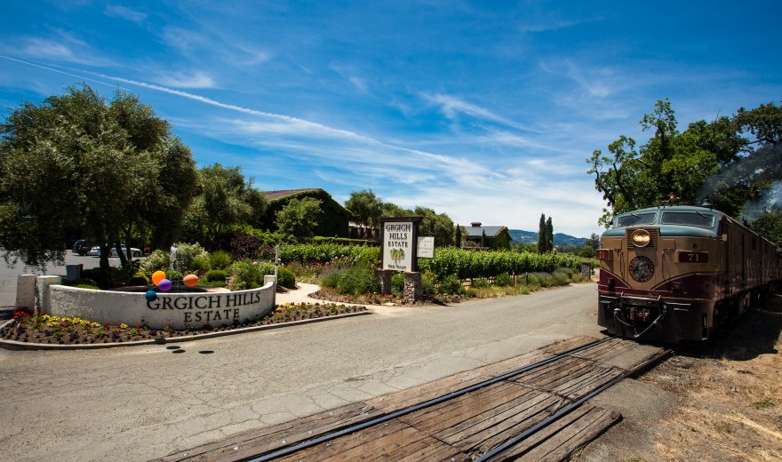 grgich-hills-winery-tour