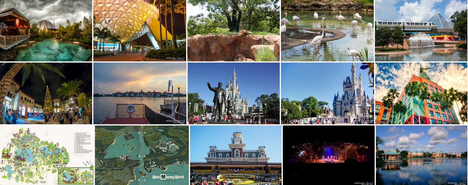 Walt Disney World