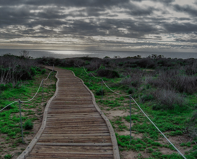 Crystal Cove State Park