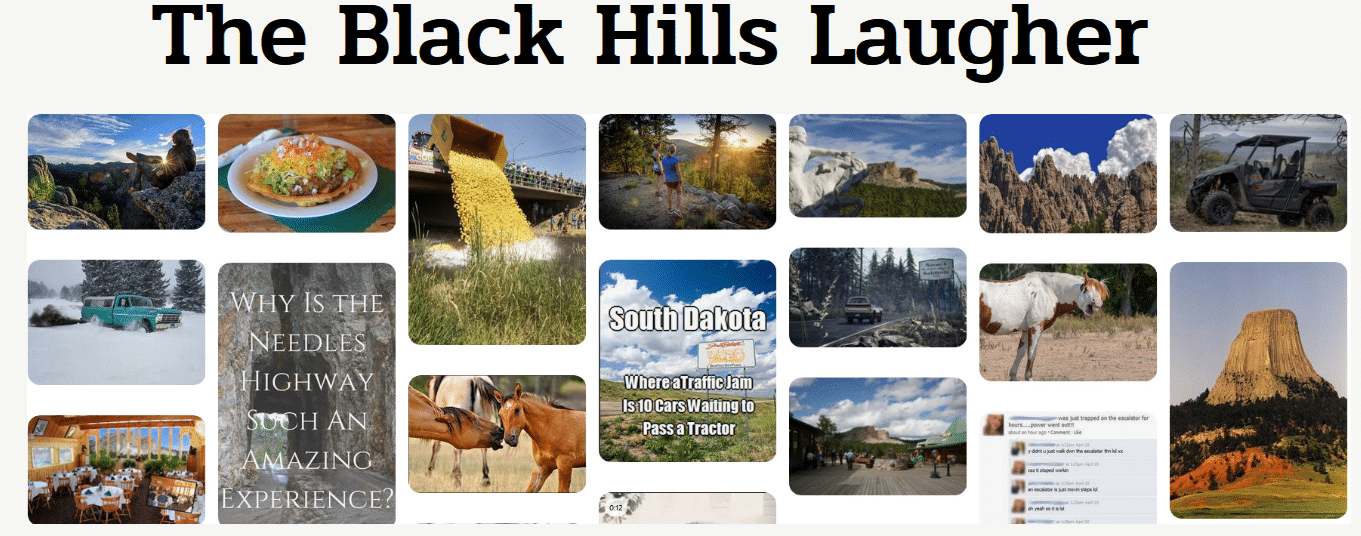 The Black Hills Laugher