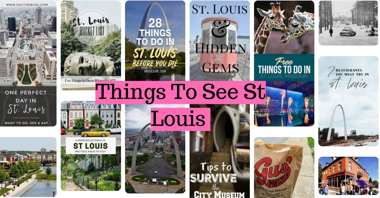 things to do in st louis in november 2021