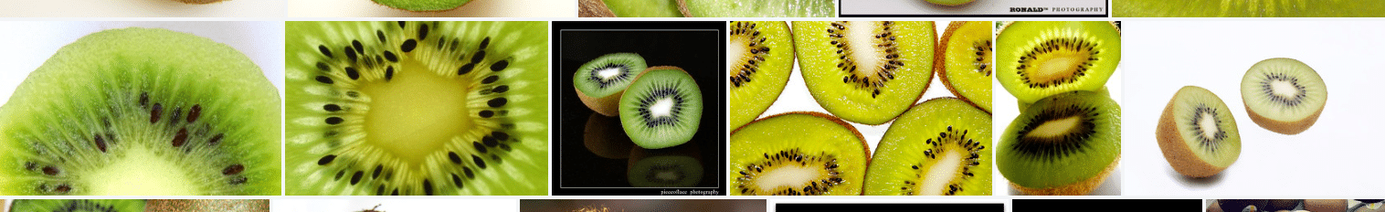 kiwi new zealand fruit