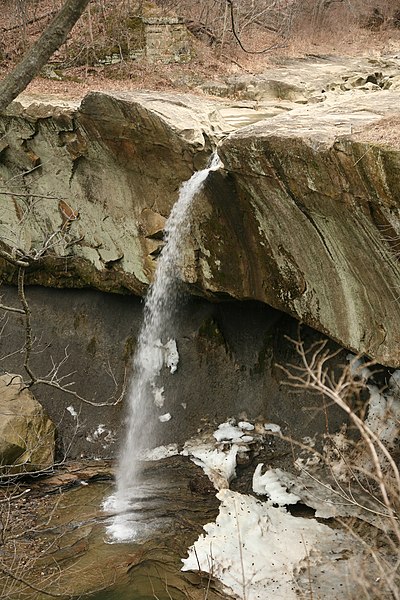 Williamsport Falls