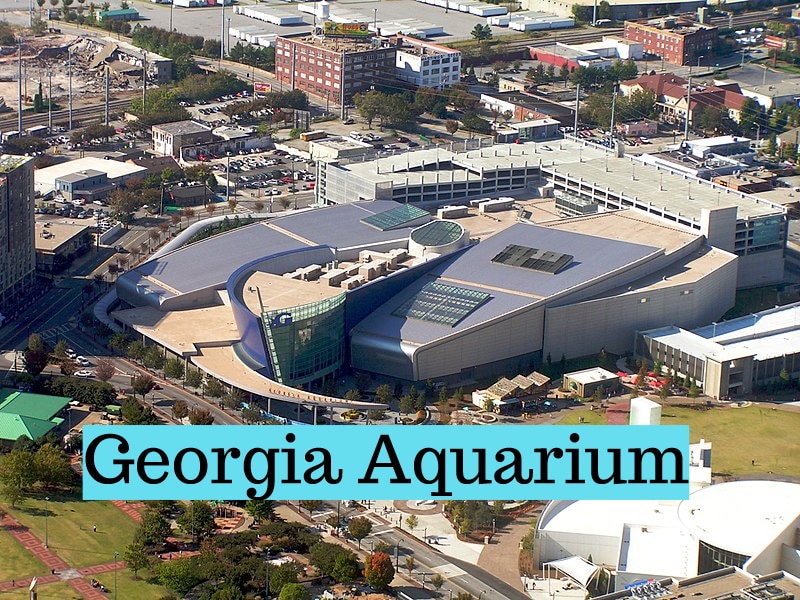 Georgia-aquarium(1)