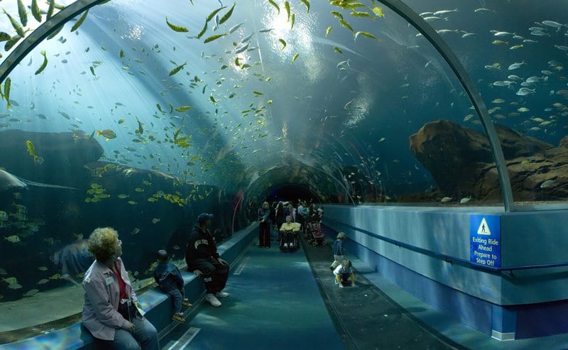 Ocean Voyager Tunnel