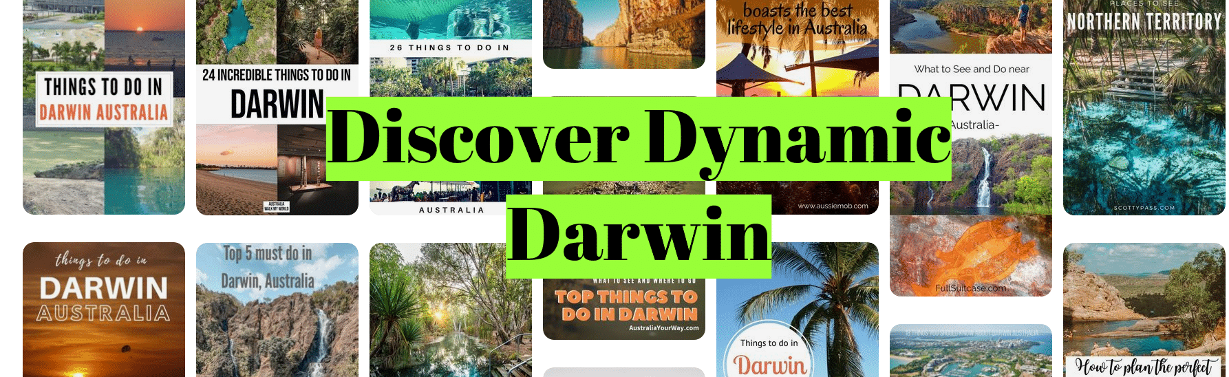 Discover Dynamic Darwin