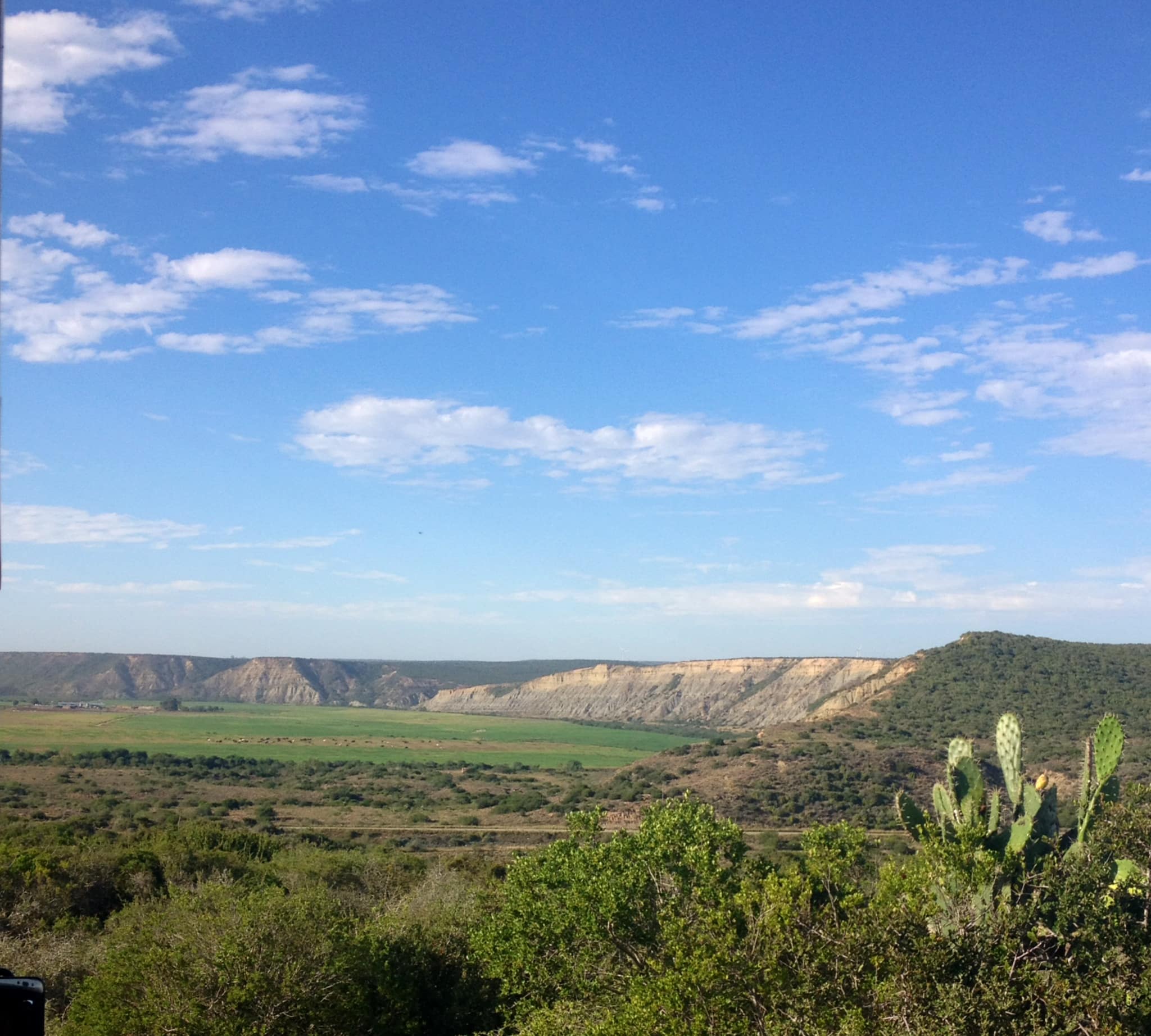 One of the many breathtaking views you’ll see driving through SA