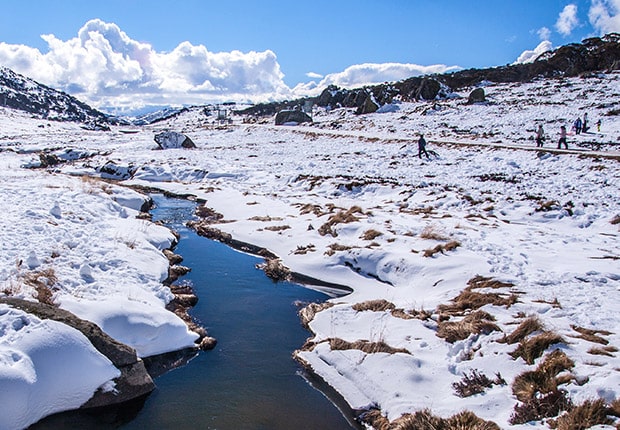 The Snowy Mountains