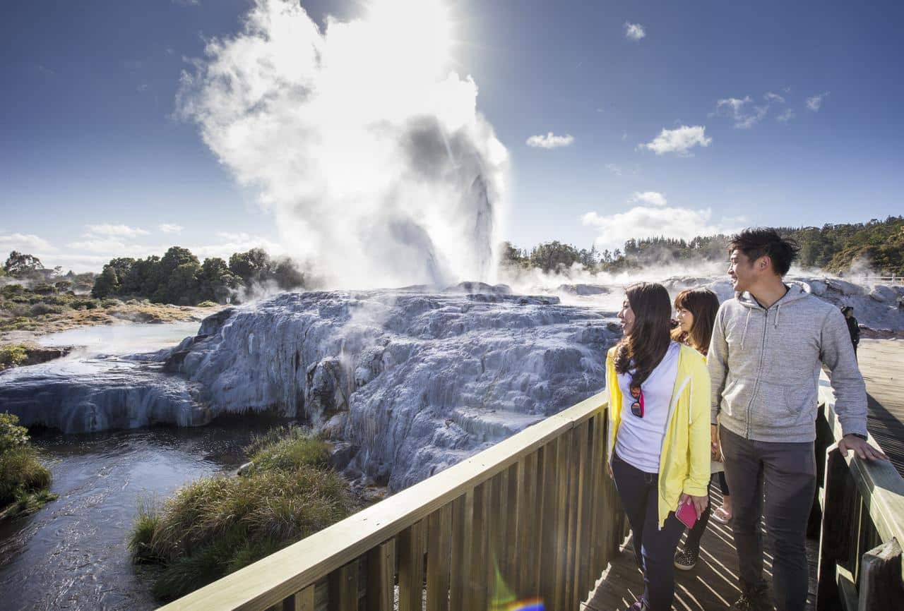 Te Puia you can watch the Pohutu Geyser erupt to a height of 30m