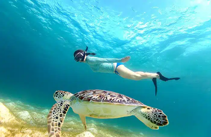 Magnetic-Island